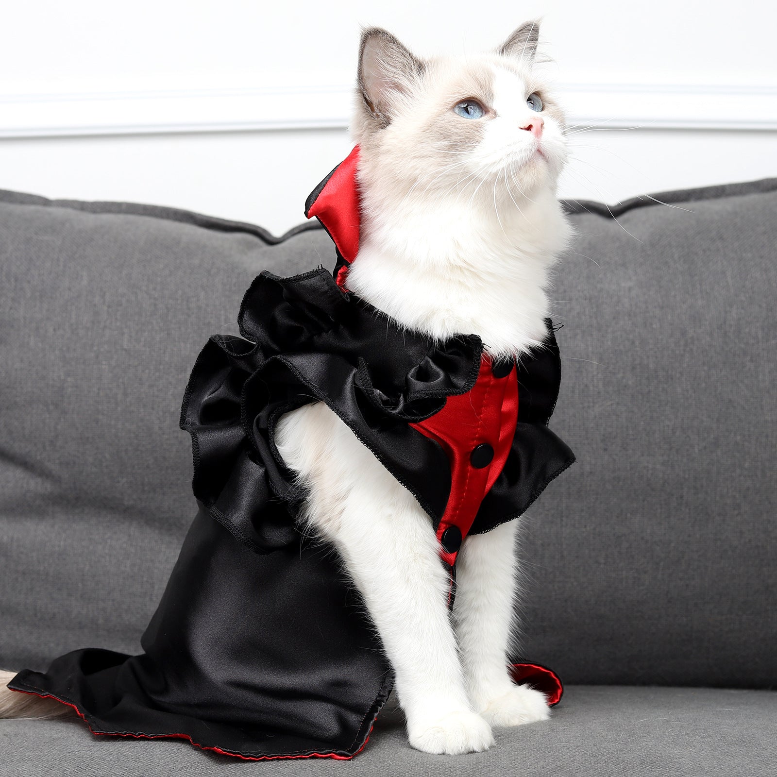 Cat Halloween Vampire Transformation Costume - Discount Halloween City