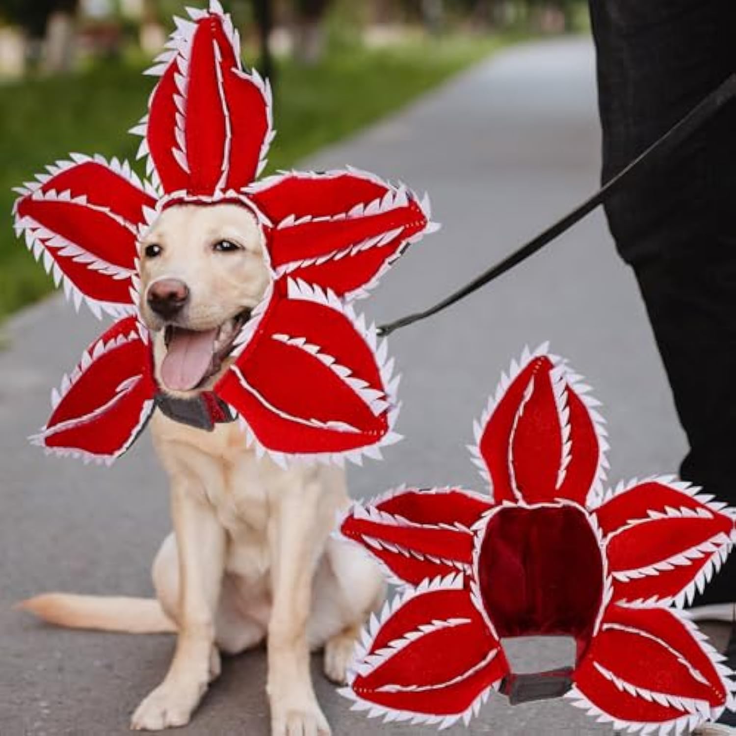 Dog Halloween Chomper Costume - Pet Holiday Demon Hat Scary - Discount Halloween City