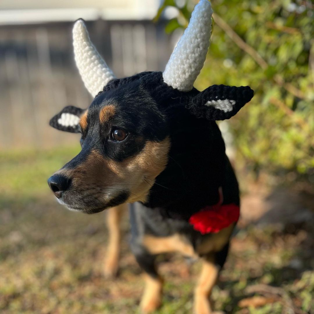 Black Cow Thermal and Windproof Halloween Knitted Jarre Aero - Discount Halloween City