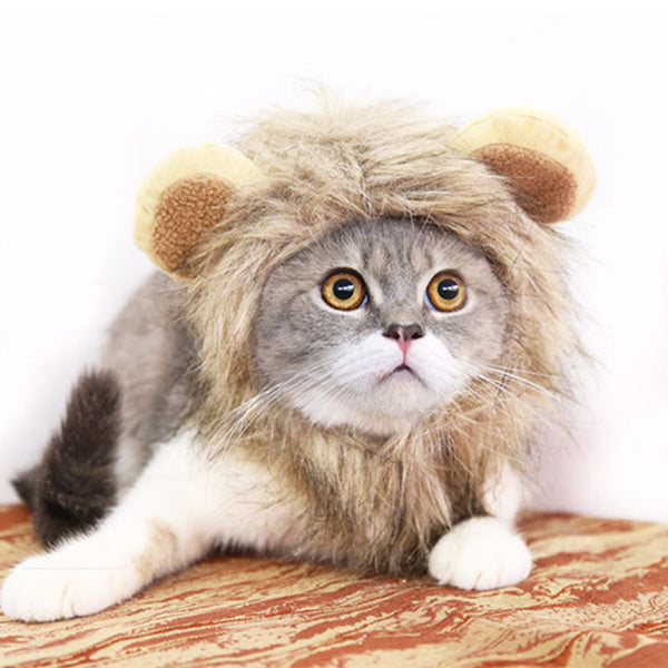 Funny Pet Hat for Small Dogs Cats Hat Emulation Lion Hair - Discount Halloween City