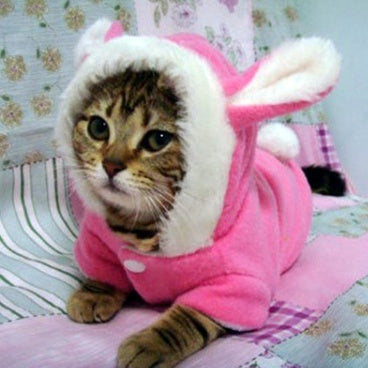 Pet Cat Clothes Mascotas Costume Clothes for Pet Hoodies - Pet Costumes