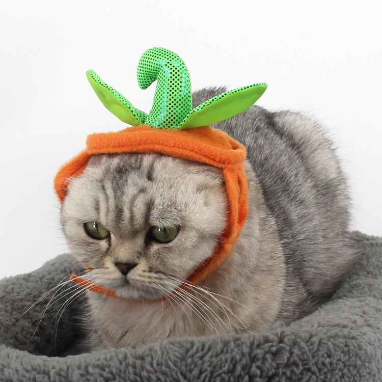 Halloween Pet Cats Costume Props Pumpkin Shape Green Leaf - Discount Halloween City