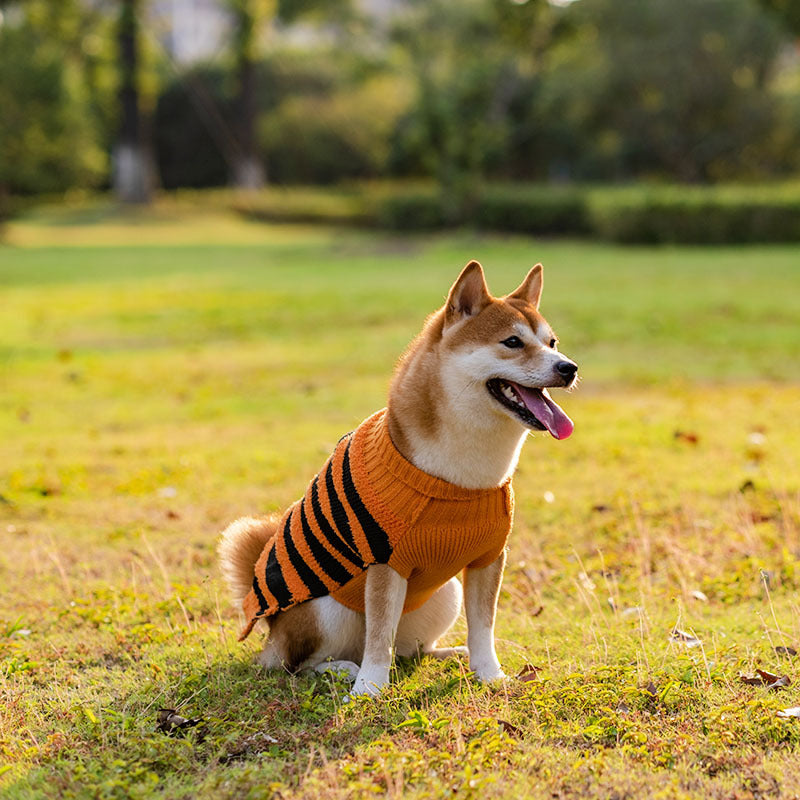 Halloween Dog Sweaters Pet Costume Teddy Warm Leisure - Discount Halloween City