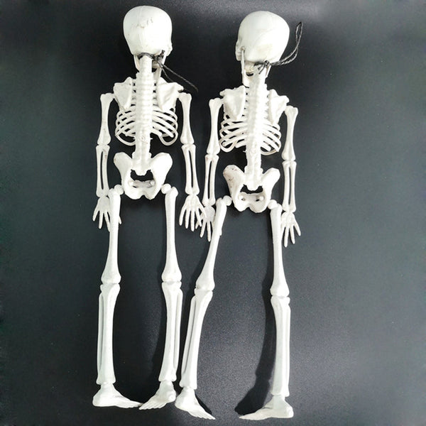 Halloween Skeleton - Discount Halloween City
