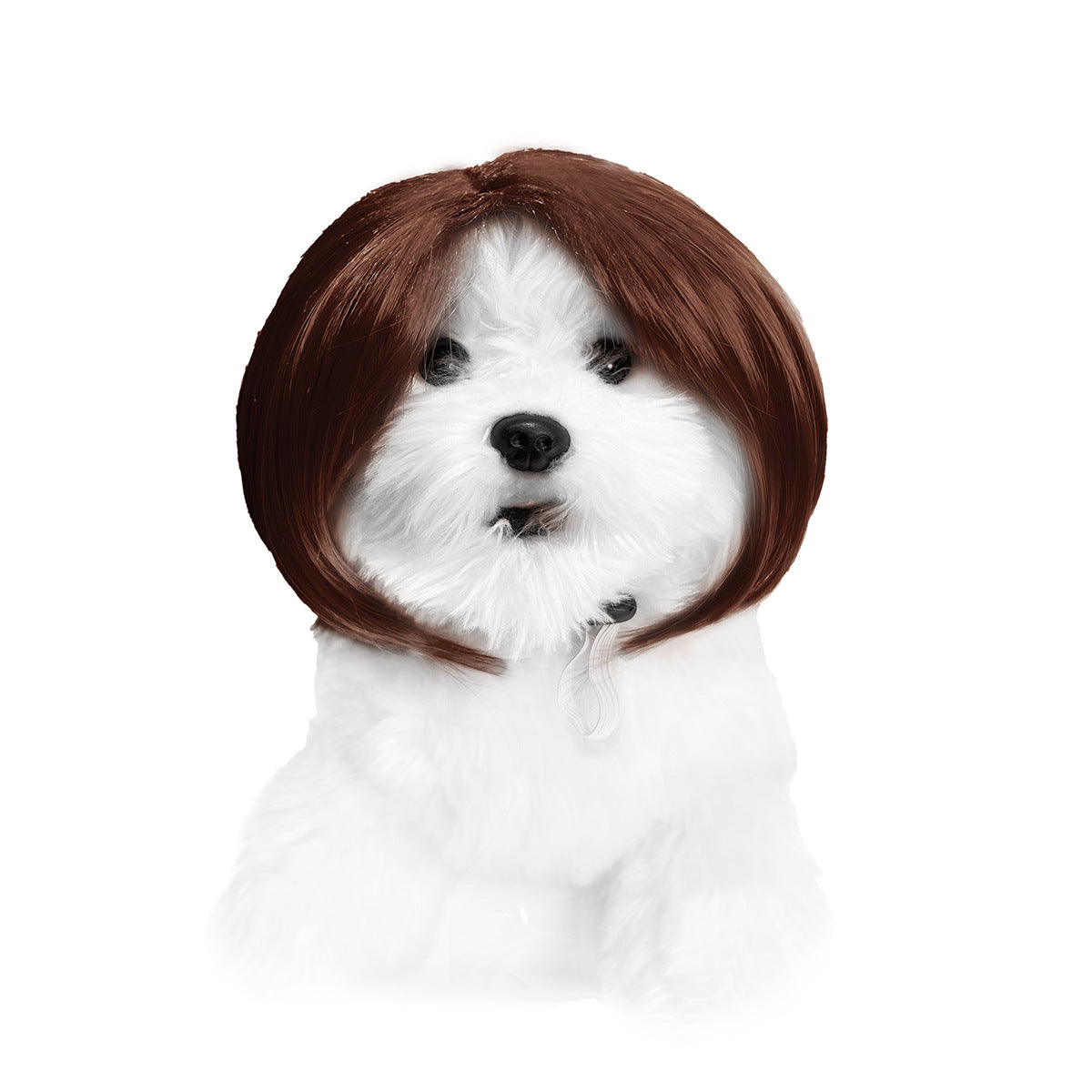 Pet for Curly or Straight Hair Wig - alternate view 40