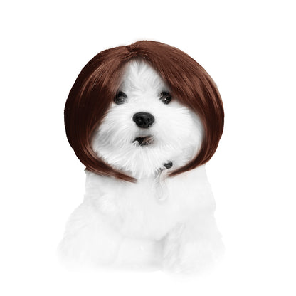 Pet for Curly or Straight Hair Wig - alternate view 40