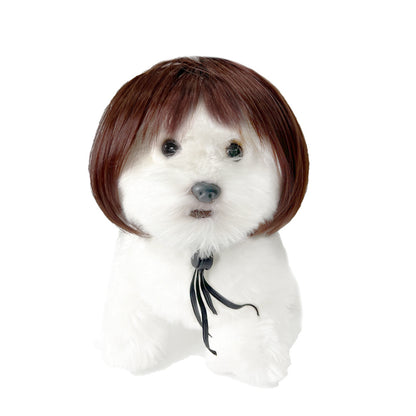 Pet for Curly or Straight Hair Wig - alternate view 39