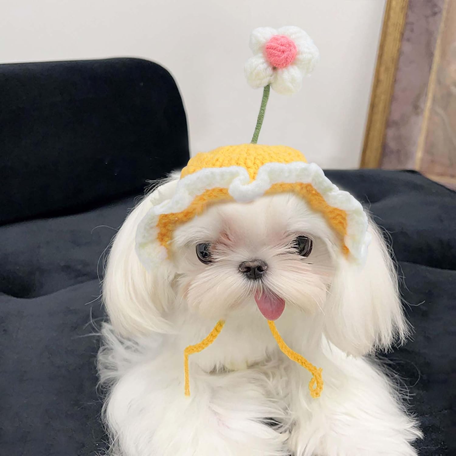 Cute Knit Cat Hat Funny Dog Hat for Cats and Small Dogs - Discount Halloween City