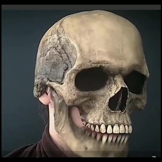 Full Head Skull Mask Helmet with Movable Jaw 3D Skeleton - Discount Halloween City
