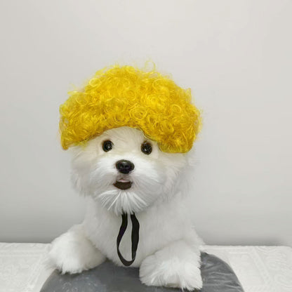 Pet for Curly or Straight Hair Wig - alternate view 24