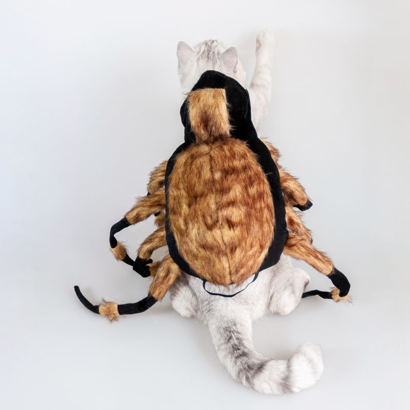 Halloween Pet Cat Dog Spider Costume Cool Cosplay - Discount Halloween City