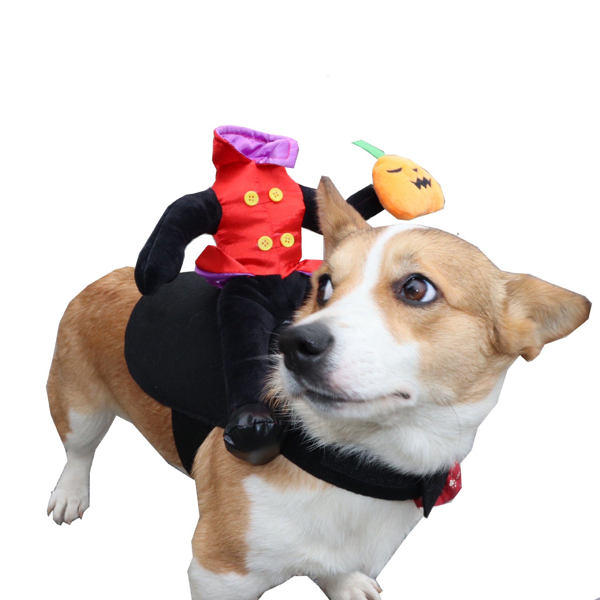 Pet Dog Funny Costume - alternate view 9