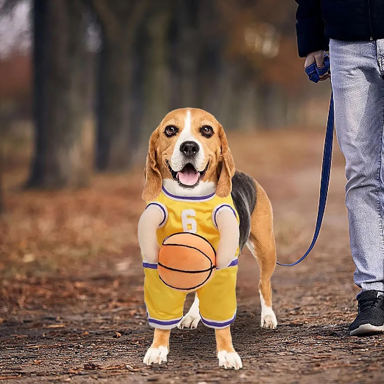 Pet Costumes Dog Basketball Player Costume Halloween - Discount Halloween City