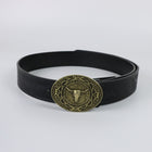 ZSJ417 SP231 Belt