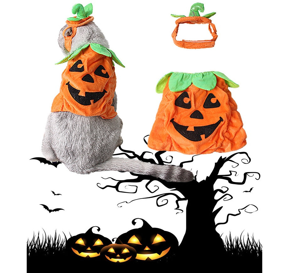 Halloween Pet Cats Costume Props Pumpkin Shape Green Leaf - Discount Halloween City