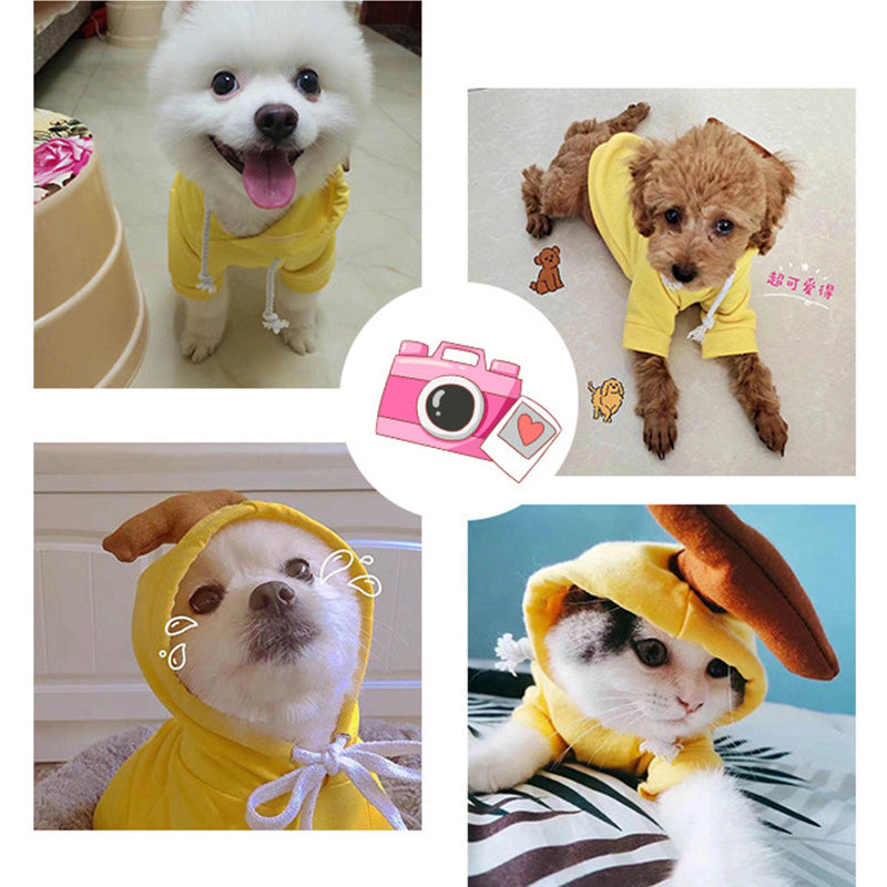 Cute Fruit Dog Clothes for Small Dogs Hoodies Winter Warm - Discount Halloween City