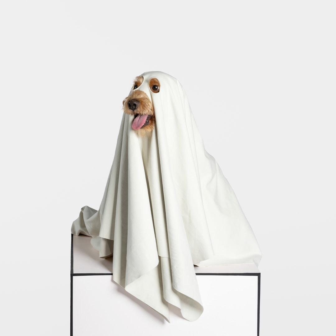 Ghost Dog Quick Dry Towel