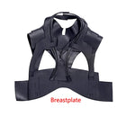 Breastplate