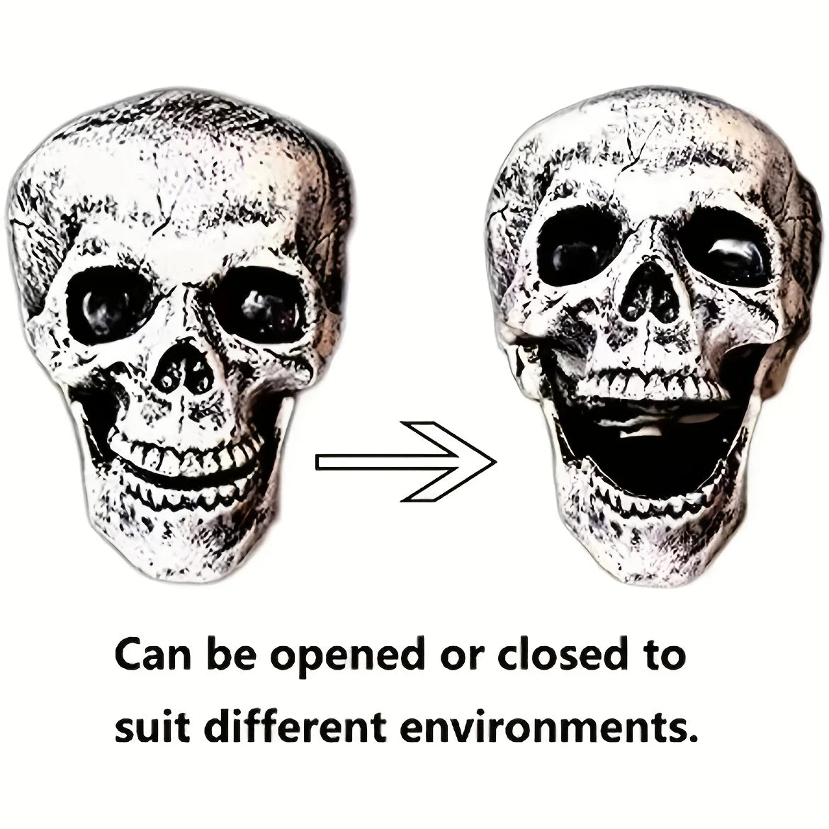 Realistic Skeleton Stakes Halloween Realistic Skull Skeleton Head Human Hand - product image 6