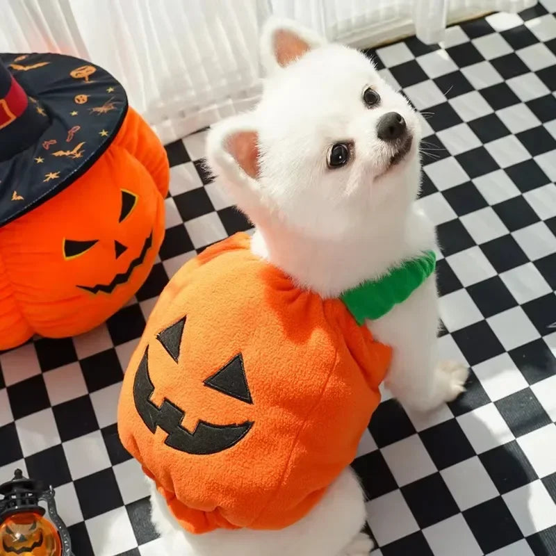 Dog Costumes Funny Pumpkin Lantern Transformation Outfit Dog Cat Two Legged Pet Cute