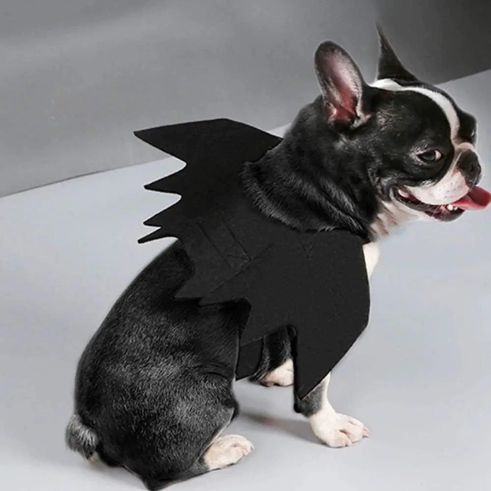 Cute Cat Costume Black Bat Wings Safety Belt Role Playing Pet Cat Dog Decoration