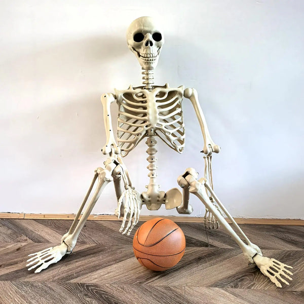 Ealistic Human Skeleton Halloween Skull Decoration Full-Body Movable Joints For Outside Garden Decorative - product image 1