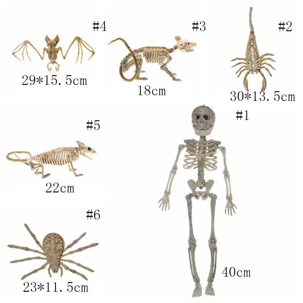 Human Bones Halloween Bats Skeleton Skeleton Model Scary Halloween Animal - product image 2