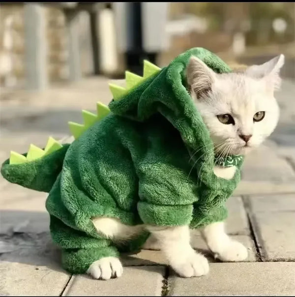 Pet Cat Dog Dog Clothes for Small Dogs Funny Dinosaur Costume Winter Warm Cat Coat