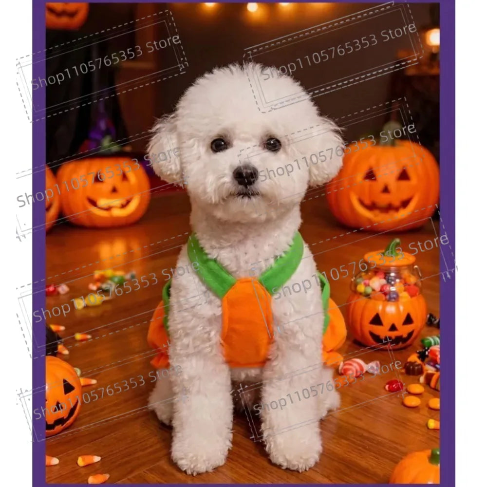 Cute Pumpkin Pet Harness Dress Funny Transformation Outfit Adjustable Pumpkin