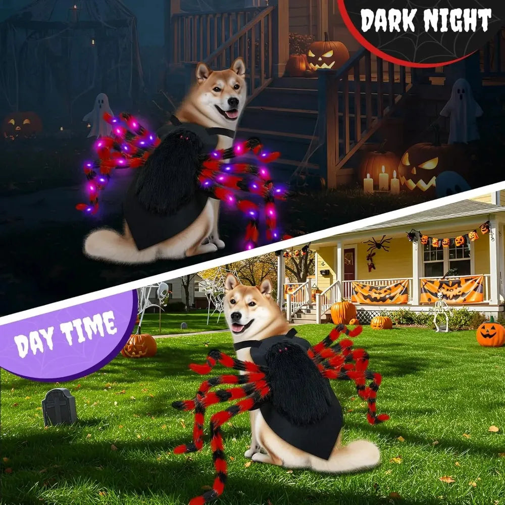 Large Dog Costume Spider Costume with LED Purple Lights Funny for Dogs Pets Clothes