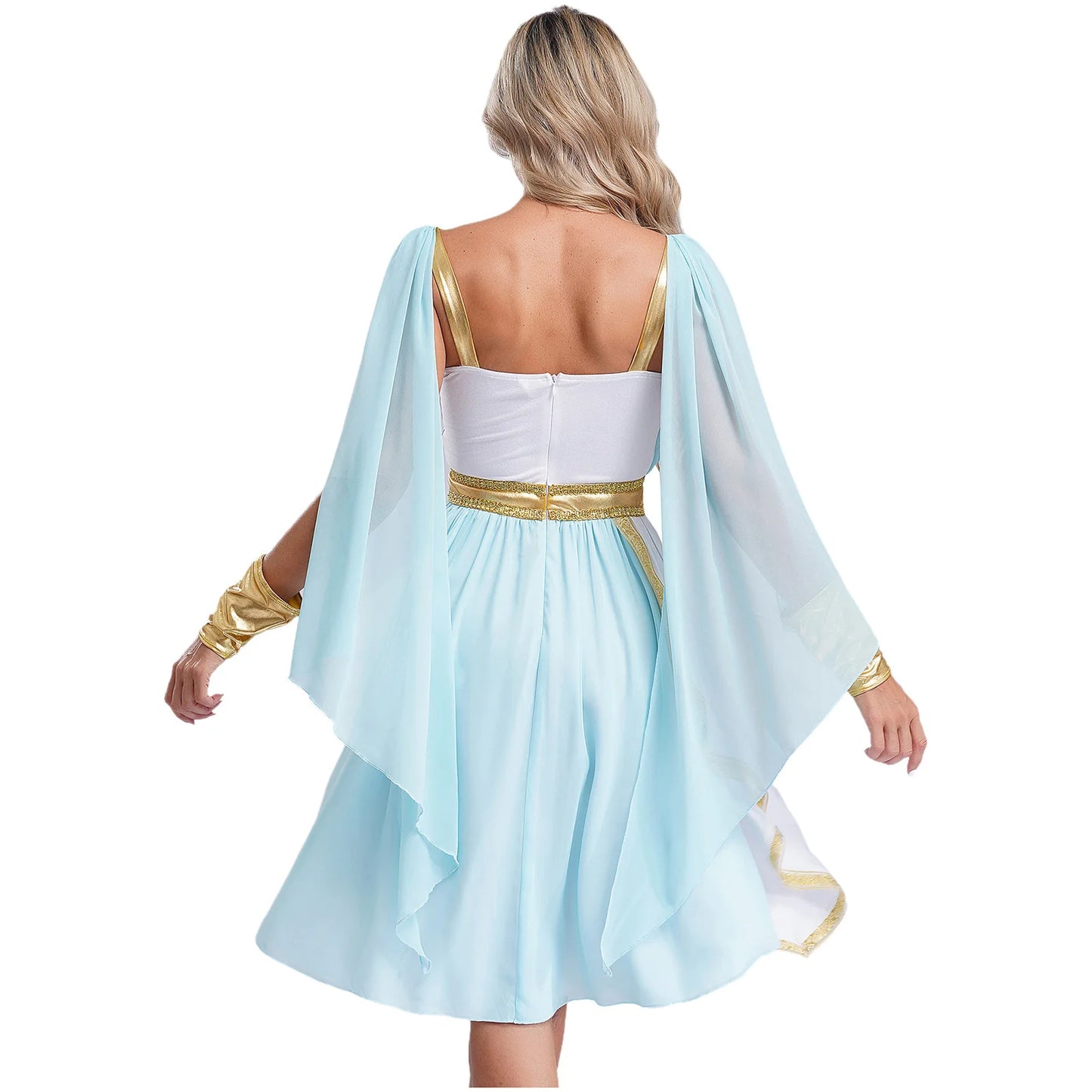 Women's Ancient Greek Athena Goddesses Roman Princess Toga Chiffon Costume - alternate view 2