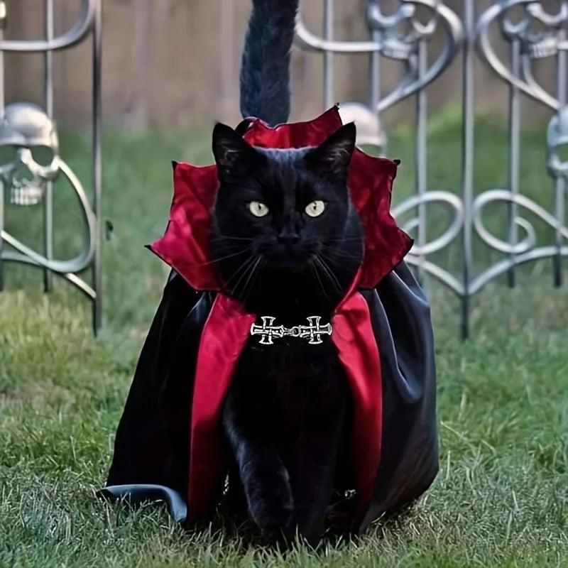 Spooky Vampire Couture for Cats Perfect Parties and Festivals Cloak Hat Festival Set