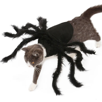 Cat Halloween Costume Cat Bat Wings - Pet Bat Costume Dress Costume Outfit Wing for Small - black / S
