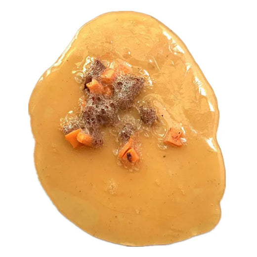 Fake Vomit Prank Toy Realistic Vomit Food Toy Halloween April Fool's Day Prankster Friend Fun Tricky Joke Party Gross
