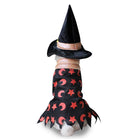 Wizard set
