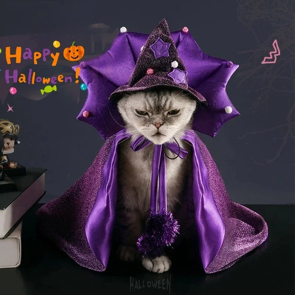 Funny Star Cat Dog Witch Cloak Set with Soft Purple Cloth and Matching Hat –