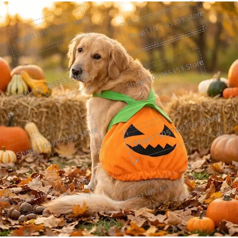 Cute Pumpkin Pet Harness Dress Funny Transformation Outfit Adjustable Pumpkin