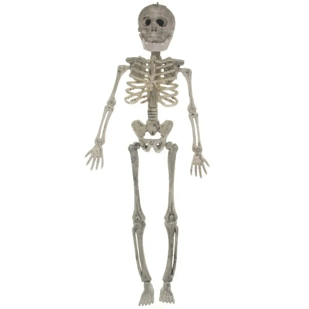 Human Bones Halloween Bats Skeleton Skeleton Model Scary Halloween Animal - product image 3