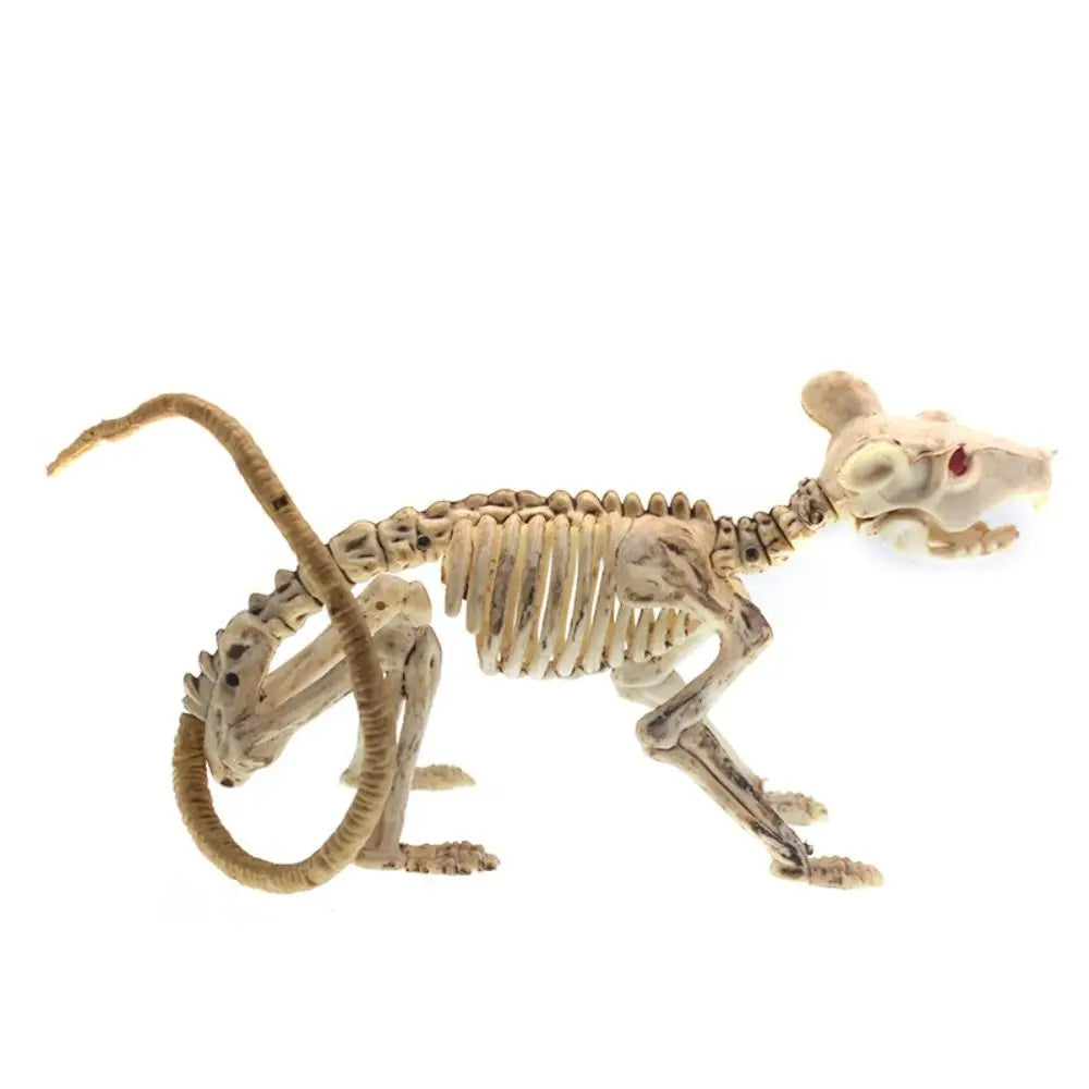 Human Bones Halloween Bats Skeleton Skeleton Model Scary Halloween Animal - product image 6