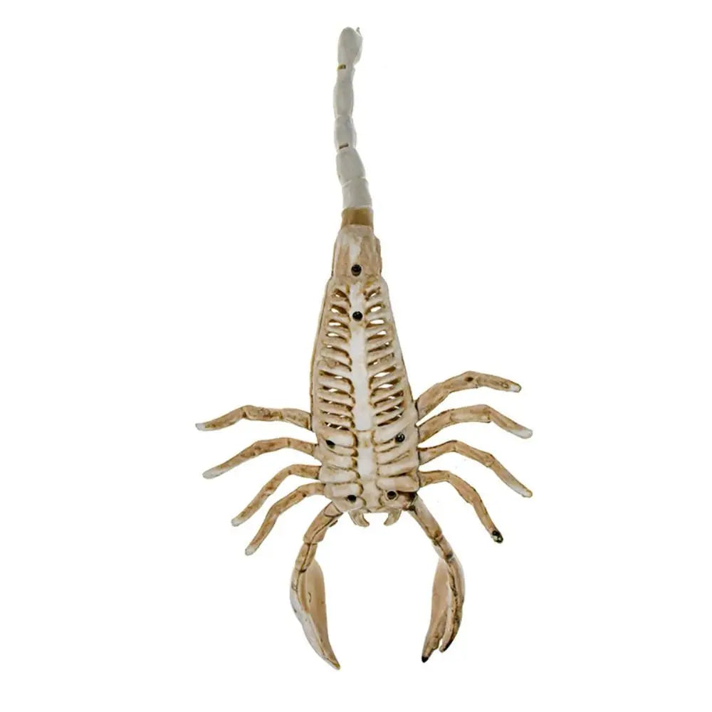 Human Bones Halloween Bats Skeleton Skeleton Model Scary Halloween Animal - product image 4