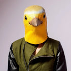 Bird mask