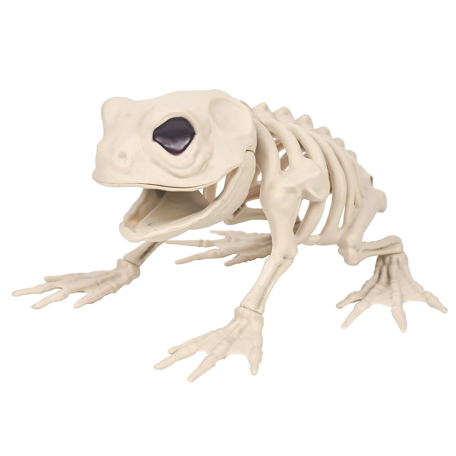Halloween Skeleton Decoration Props Simulated Animal Models Skeleton Wolf - product image 8