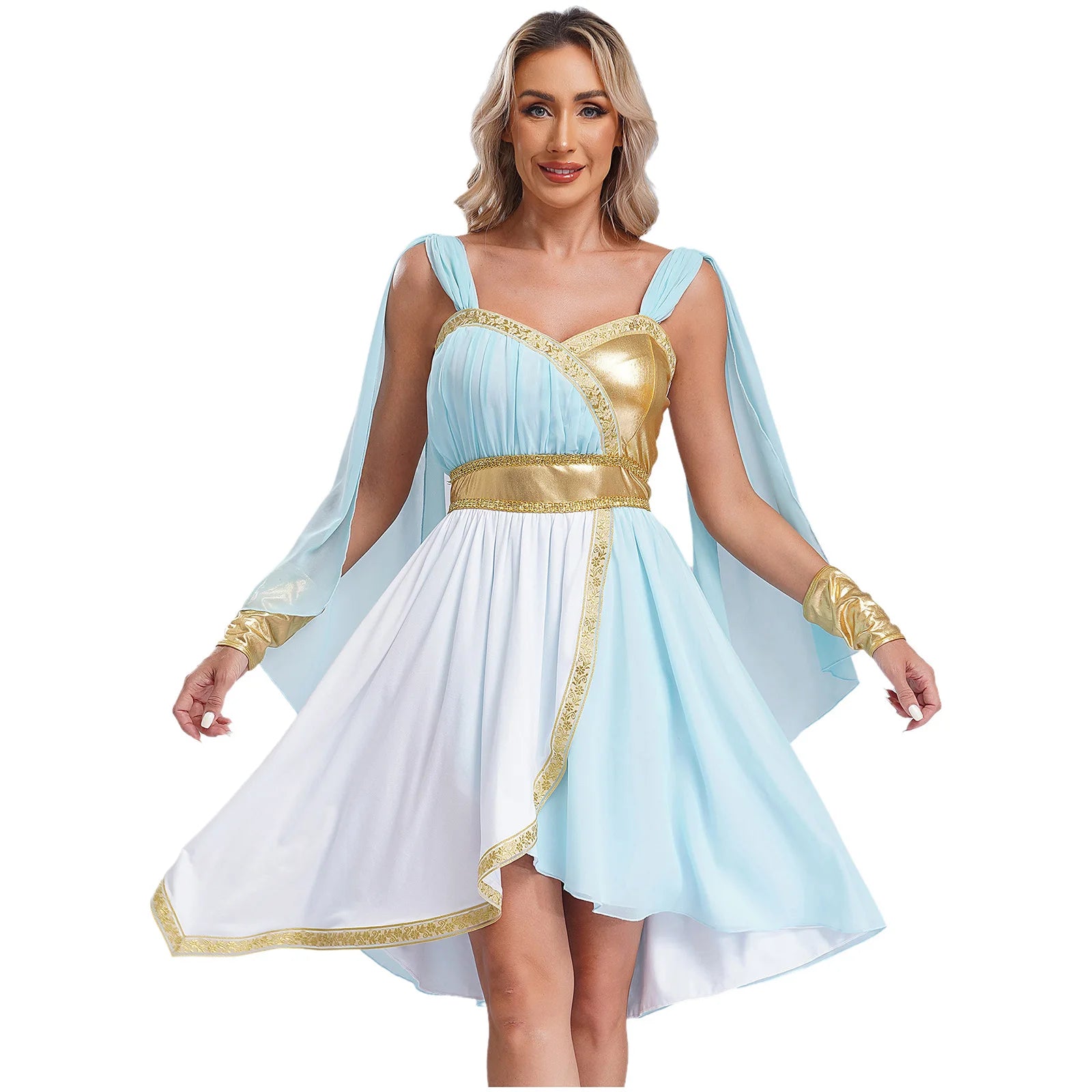 Women's Roman Ancient Greek Athena Goddesses Princess Toga Chiffon Costume - alternate view 8