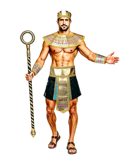 Men's Men Egyptian Ancient Egypt Pharaoh Accessories Dress Up Set Costume - alternate view 5