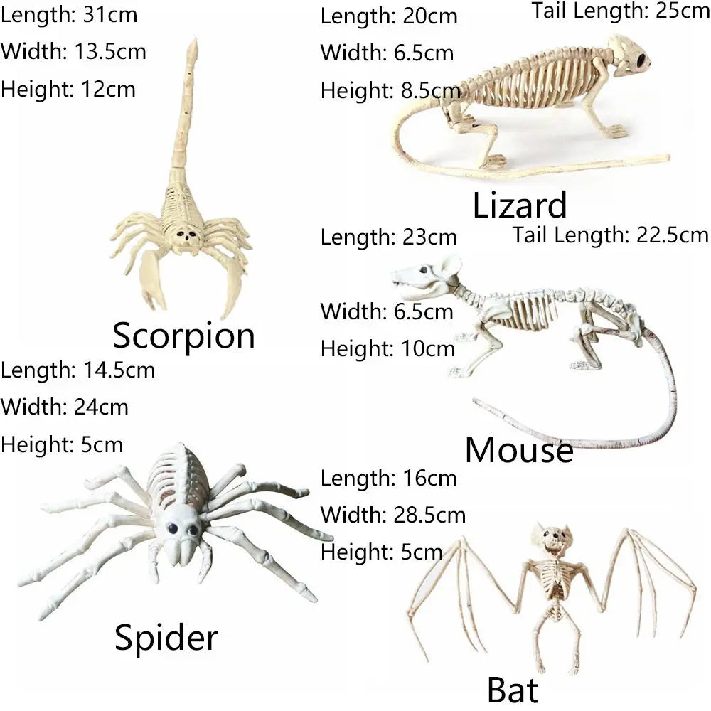 Halloween Decoration Animal Skeleton Bones Creepy Spider Bat Mouse Scorpion - product image 6