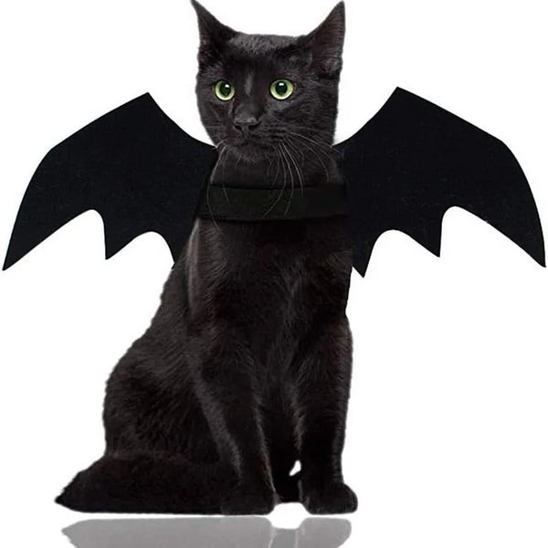 Cute Cat Costume Black Bat Wings Safety Belt Role Playing Pet Cat Dog Decoration