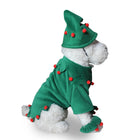 Santa suit