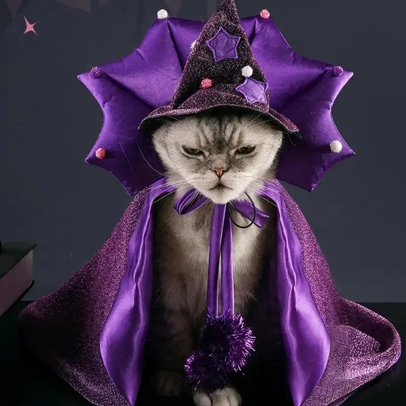 Cat Halloween Costume Comfortable Cat Wizard Outfit Witch Dog Costume Cat Cloak Witch Hat Halloween Dog Cloth - product image