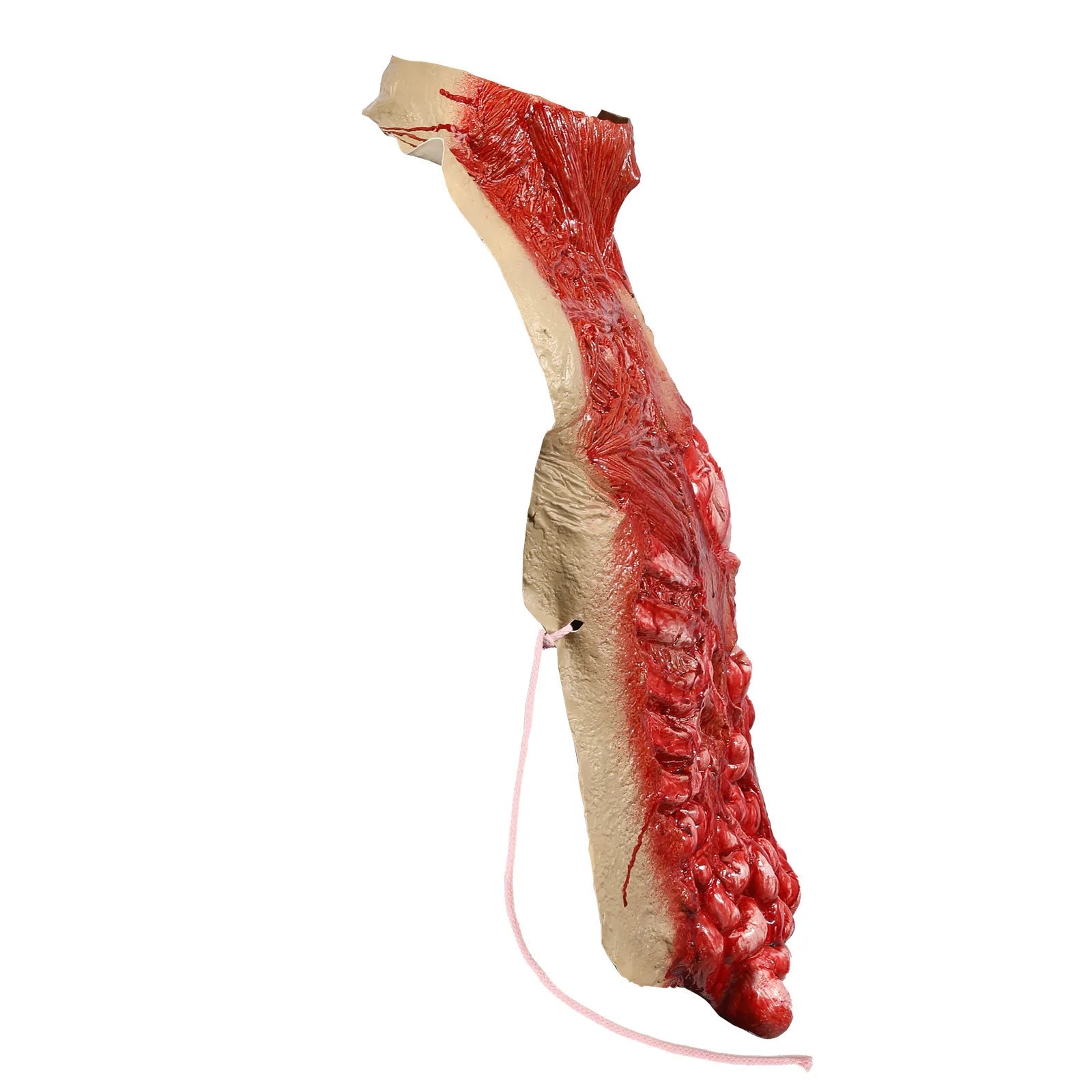 Bloody Intestine Torso Chest Scary Fake Body Parts Creepy Zombie Costumes Horror Halloween - View 4