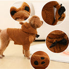 Brown Dog